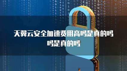 应用加速与互联网安全服务 费用、安全性与真实性解析