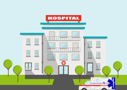 粽香飘扬时，莫忘食安与网安 端午节双线风险防范指南